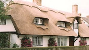 Churton Master Thatchers 