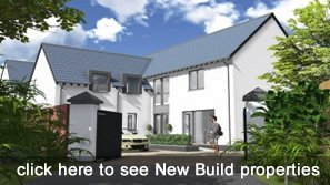 Templeton Robinson New Bu