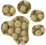 TURKEY AND RICE SENIOR/LIGHT